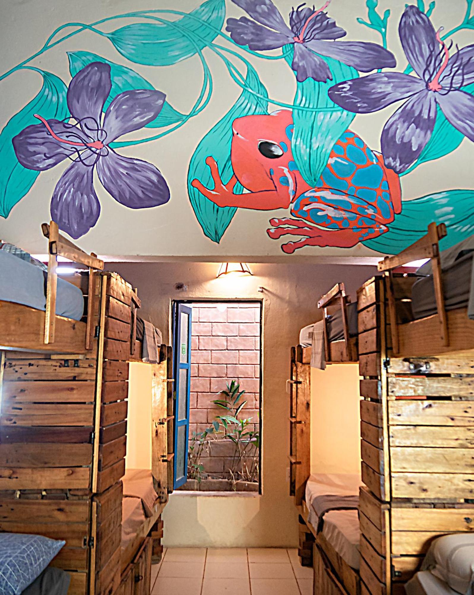Chapada Backpackers Hostel Agencia Lencois Exterior foto
